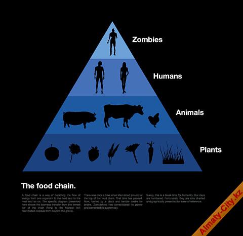 Название: food_chain.jpeg Просмотров: 44 Размер: 31.0 Кб
